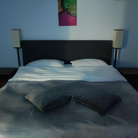 Apartment Farmec Cluj-Napoca Buitenkant foto