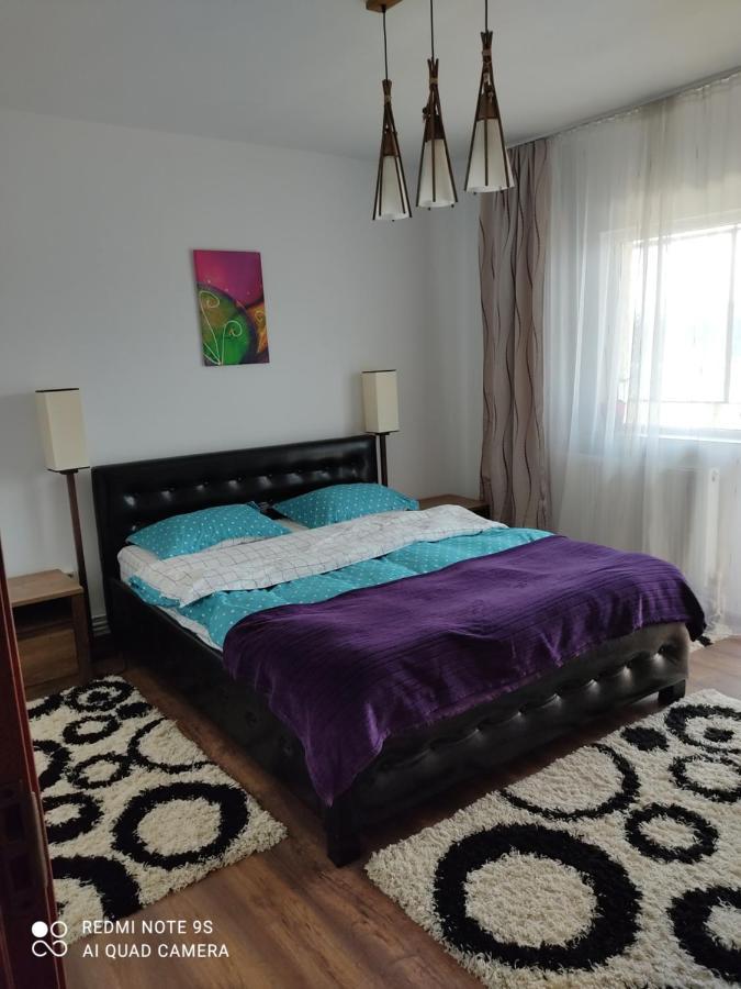 Apartment Farmec Cluj-Napoca Buitenkant foto