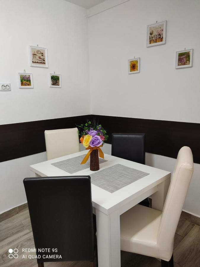 Apartment Farmec Cluj-Napoca Buitenkant foto