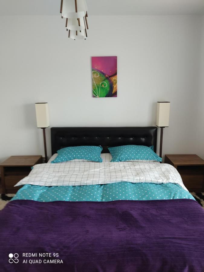 Apartment Farmec Cluj-Napoca Buitenkant foto