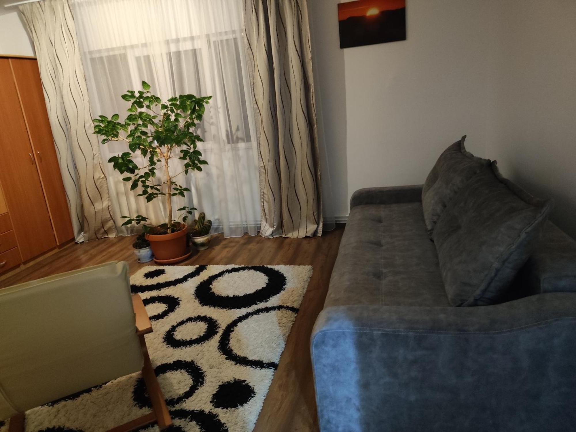 Apartment Farmec Cluj-Napoca Buitenkant foto